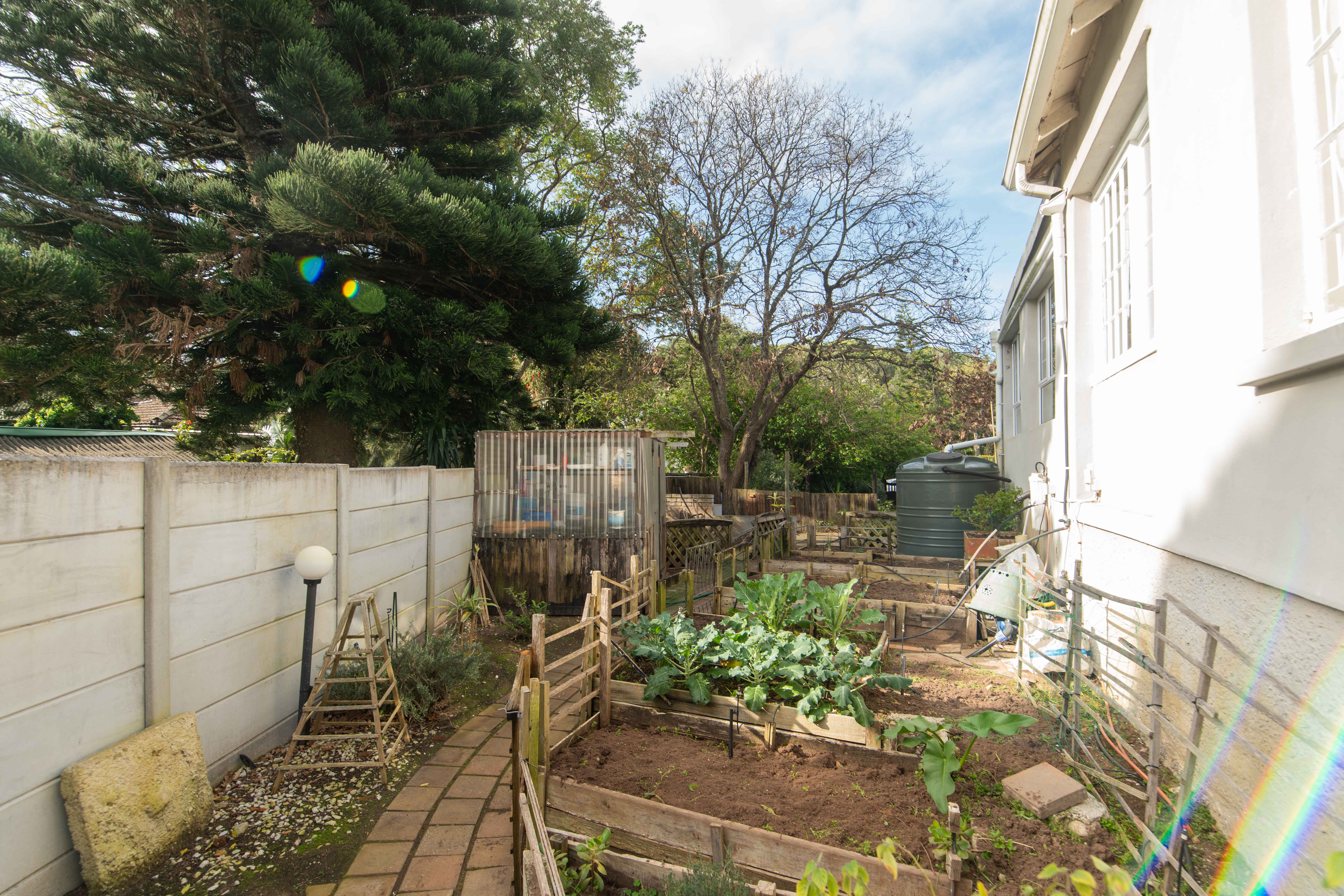 Dedicated home vegetable garden