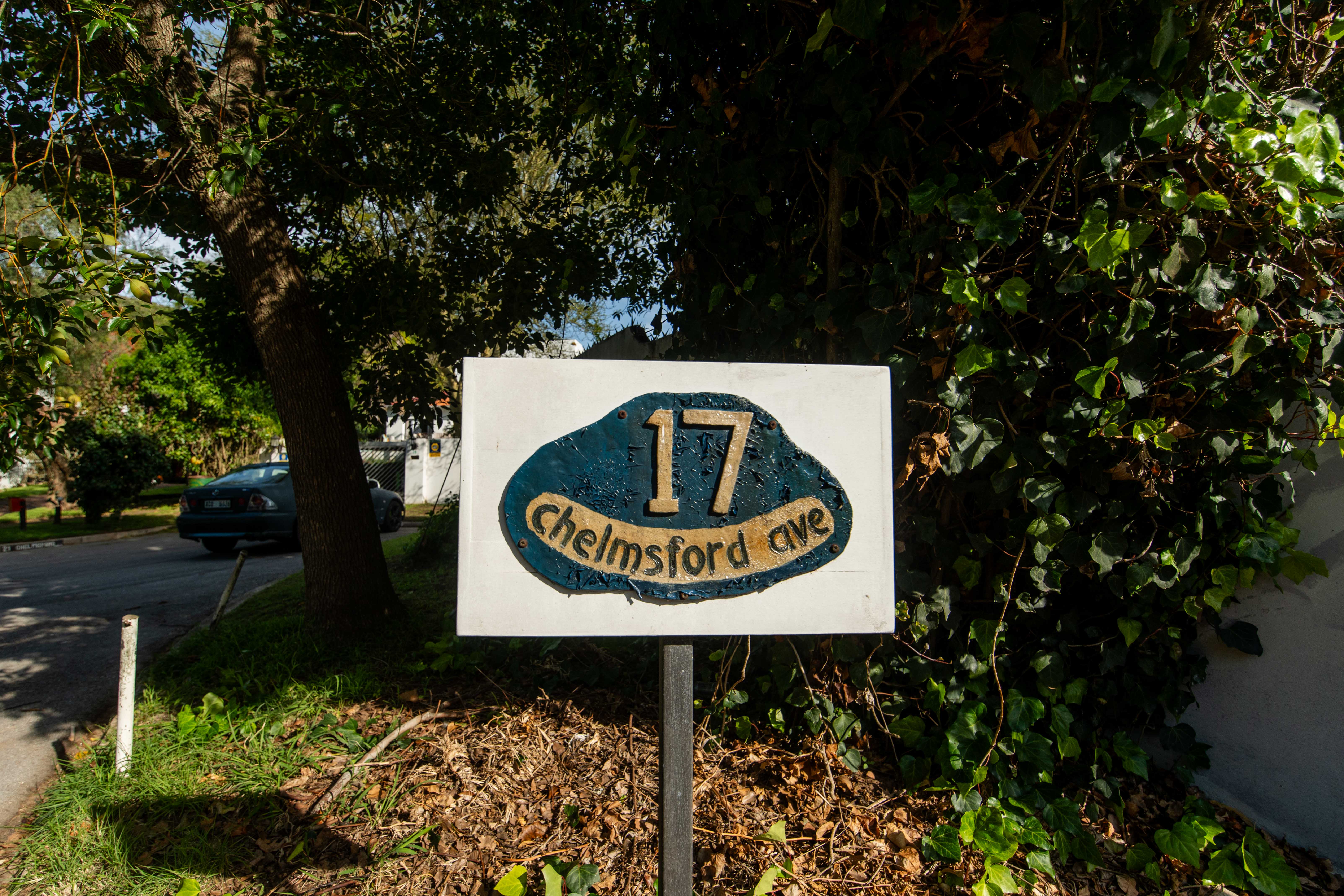 Front garden and driveway entrance