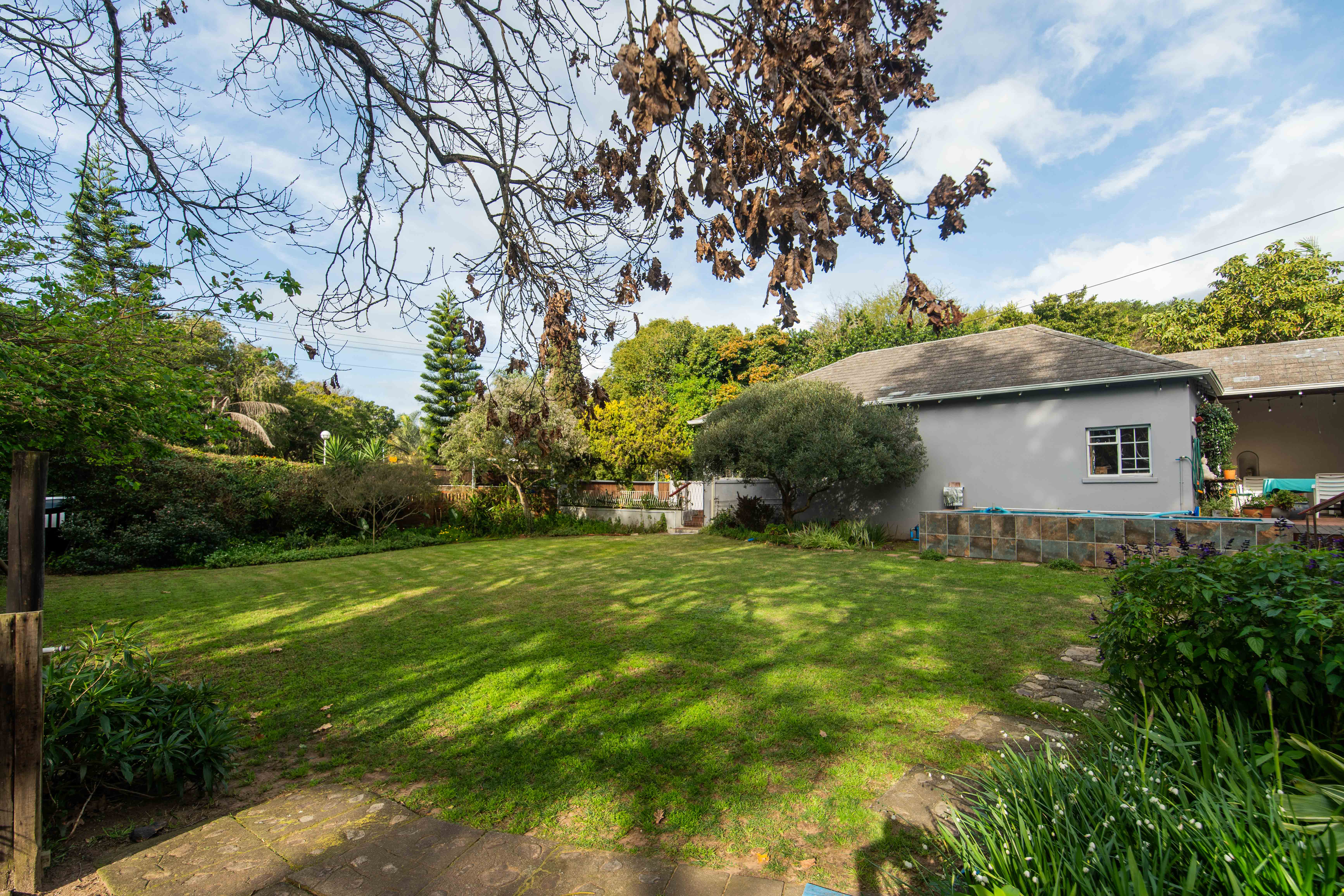 Established backyard garden with mature trees